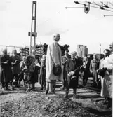 Wargöns AB.

Fören. västra Sveriges skogsmän
Disponent de Verdier från Wargöns AB hälsar deltagarna välkomna.