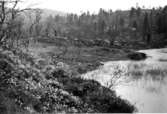 Wargöns AB.
Påförd text: Storvik, Tysfjord 1951. [Kvartsbrytning]