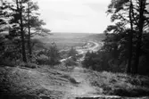 Utsikt från rastplats och utsiktsplats på sydöstra delen av Safjället eller Toltorpsberget (ovanför Bifrostgatan), fotograferad 30/10 1991.