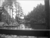 Fågeldammen vid Forngården, Vetlanda