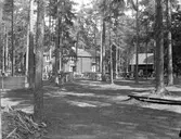 Forngården, Vetlanda