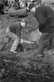 Dokumentation av anläggande av spelplaner på Gunnebo 1992-1993.
Lars Gahrn inspekterar den äldsta dränagetunneln på 60 cm djup.