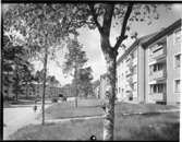 Skallberget, exteriör