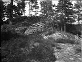 Örnhuset, röse ca. 15 m i diameter  Strandön  Nössemark