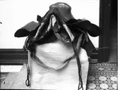 Herrsadel med täcke nr. 68 D.M.  Ödeborgs fornsal