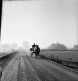 Hästskjuts.  Bäcke