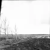 Sänkt område vid Binäs, Hästefjorden. Frändefors