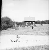 Imålningar av hällristningar. Gunnarsnäs