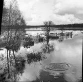 Gräns mellan Bohuslän - Dalsland  Torp