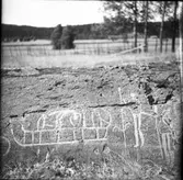 Detalj av hällristning 9:19   Högsbyn  Tisselskog
