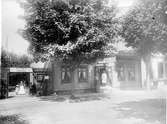 Nordfeldts konditori, Edsgatan 12 B omkring 1900.  Vänersborg