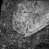 Korsad sten på Stockenäs udde.  Bolstad