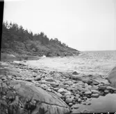 Hällristningar.  Bolstad