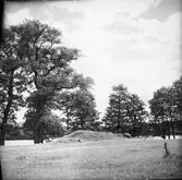 Husgrunden, b. på norra platåns nordöstra del   c. Från öster.Pilarna utvisa de eventuella hörnstenarna  d. På platåns sydvästra del från norr   e.från sydväst   Ekholmen  Gunnarsnäs.