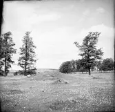 Husgrunden, b. på norra platåns nordöstra del   c. Från öster.Pilarna utvisa de eventuella hörnstenarna  d. På platåns sydvästra del från norr   e.från sydväst   Ekholmen  Gunnarsnäs.