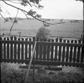 Minnessten i Västerråda.  Holm