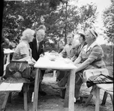 Från årsmötet 1960   Högsäter