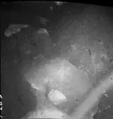 Undersökningen 1958  Medeltidskyrkan  Steneby