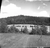 Berget med fornborgen sett från västsydväst  Steneby