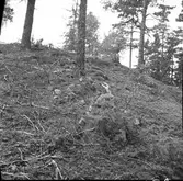 Parti av fornborgens mur  c  på norr från öster  d  på söder sidan från nordnordost  e  på söder sidan från sydsydväst  Steneby