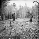 Upprensning av fornminnen. Tävling bland skolbarn 1956-57.  a  till vänster förste skrivare Lindmark  Steneby