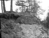 Hällkista använd som potatiskällare  Gummenäs  Torrskog