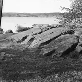 Rodnarudden  Hällristning    Tisselskog