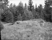 Vid gamla kyrkan  Tösse ödekyrka