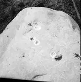 Nyfunna älvkvarnstenar   Ödeborg