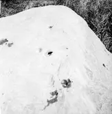 Nyfunna älvkvarnstenar   Ödeborg