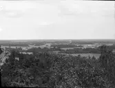 Utsikt från fornborgen i Tostebyns skogsmark   Ör