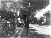 Södra delen av Edsgatan före de stora trädens fällande omkring 1920 respektive 1925. Vänersborg