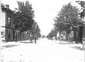 Södra delen av Edsgatan före de stora trädens fällande omkring 1920 respektive 1925. Vänersborg