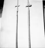 Vapen  21 Ad   Bardisan och Korsgevär  Vänersborgs Museum