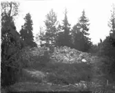 Stenkummel  Anfastebyn  Steneby