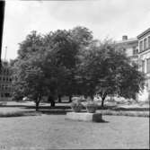 Museiparken  Vänersborg