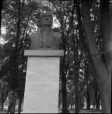 Sparrebysten   d-e  även inskription på Sparrebysten