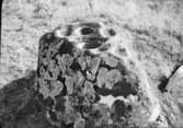 Skålgropar på gården Kilatorp. Den största skålen eller älvkvarnen är 15 cm i diameter och 9 cm djup. 5 stycken stenar med skålgropar finns på gården.  Algutstorp