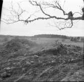 Utgrävning 1955 av Stynaborg    Bälinge