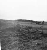 Utgrävning 1955 av Stynaborg    Bälinge