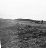 Utgrävning 1955 av Stynaborg    Bälinge