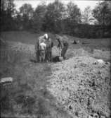 Utgrävning 1955 av Stynaborg    Bälinge