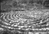 Labyrinten på Hovs backe   Ornunga