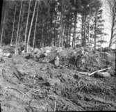 Nycklabacken  Åltorp  vid utgrävningen 1955  Tarsled