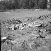 Nycklabacken  Åltorp  vid utgrävningen 1955  Tarsled