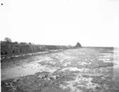 Strandlinjen  Vänersnäs