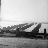 Gränsland. Från 2:dra världskriget.  Dalsland