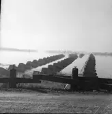 Gränsland. Från 2:dra världskriget.  Dalsland