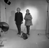 Flicka med katt i sele den 10 november 1960 i Huskvarna.