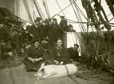 Sjömän, skeppsgossar och en gris i en gruppbild ombord segelfartyget GLADAN. Längst fram till vänster Gustaf Andersson.